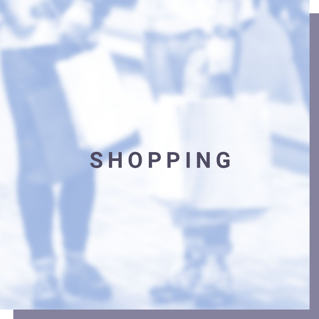 Category-Cards-w-text-Shopping